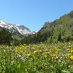 De - Vue Pyrenees, & Pdj Inclus Llo