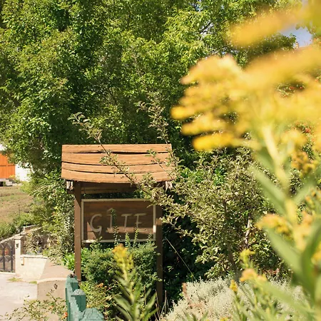 De - Vue Pyrenees, & Pdj Inclus Bed & Breakfast 3*