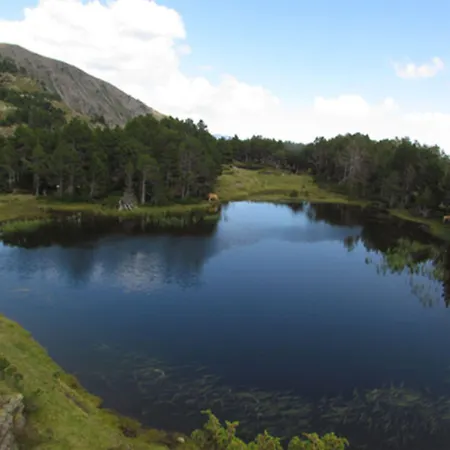 Bed & Breakfast De - Vue Pyrenees, & Pdj Inclus