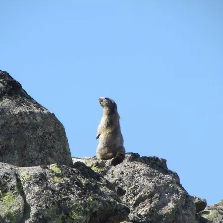 De - Vue Pyrenees, & Pdj Inclus Отель типа 