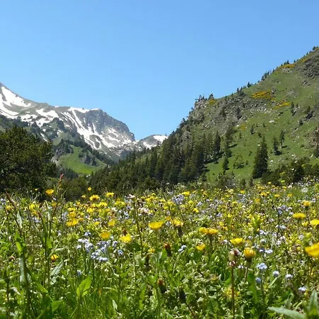 De - Vue Pyrenees, & Pdj Inclus Йо